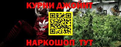 шишки Обь