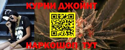 шишки Обь