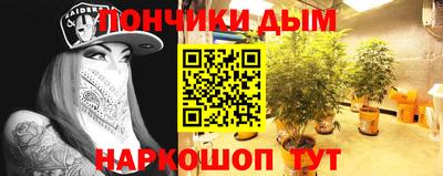 шишки Обь