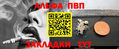 шишки Обь
