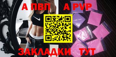 шишки Обь